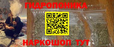 прущие грибы Пугачёв
