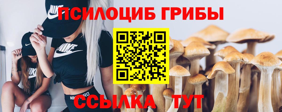Галлюциногенные грибы Magic Shrooms  Галлюциногенные грибы мицелий  Ростов-на-Дону  купить  цена  Вход с VPN 